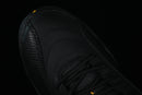AIR JORDAN 12 "BLACK TAXI"
