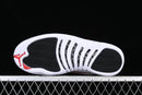 AIR JORDAN 12